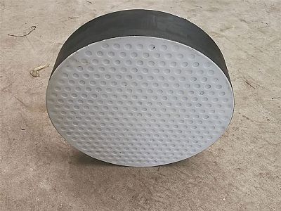 林芝四氟板式橡胶支座易于更换缓冲隔震